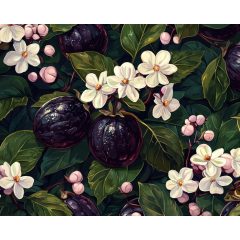 Botanikus szépség - Számfestő készlet kereten 40x50