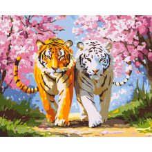 Tavasz a tigrisek földjén - Számfestő készlet kereten 40x50