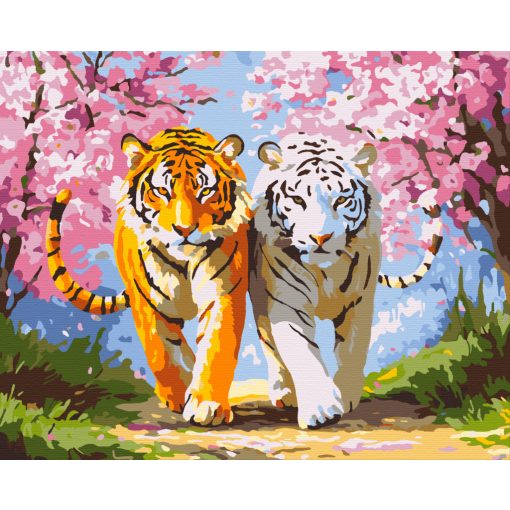 Tavasz a tigrisek földjén - Számfestő készlet kereten 40x50