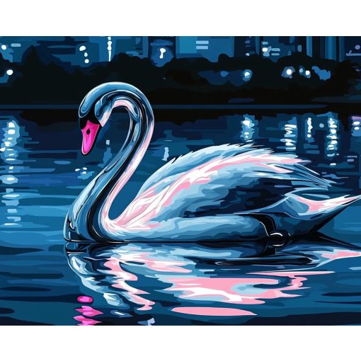 Az éjszaka hattyúja - Számfestő készlet kereten 40x50