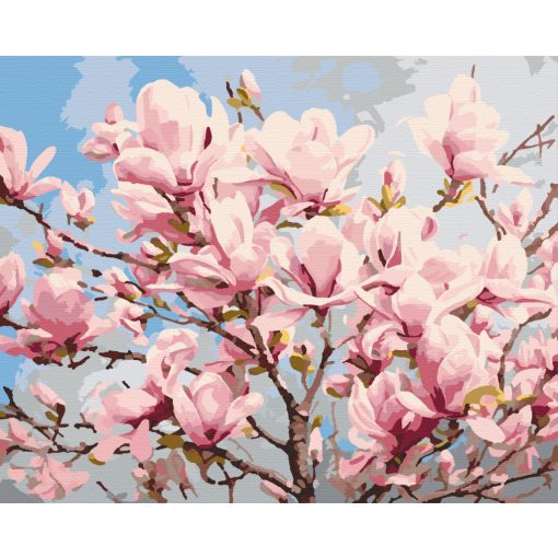 Magnóliafa virágzás - Számfestő készlet kereten 40x50