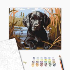   Kíváncsi kölyökkutya - Számfestő készlet kereten 40x50