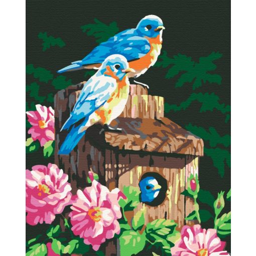 Tavaszi csicsergés - Számfestő készlet kereten 40x46