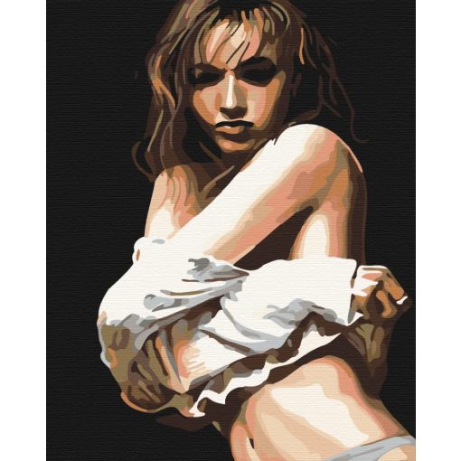 Titkos pillanat - Számfestő készlet kereten 40x47