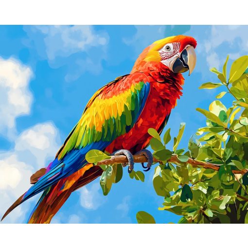 Színes repülés - Számfestő készlet kereten 40x50