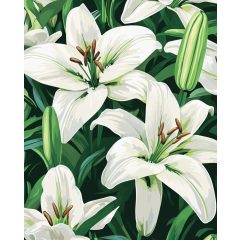 Időtlen elegancia - Számfestő készlet kereten 40x50