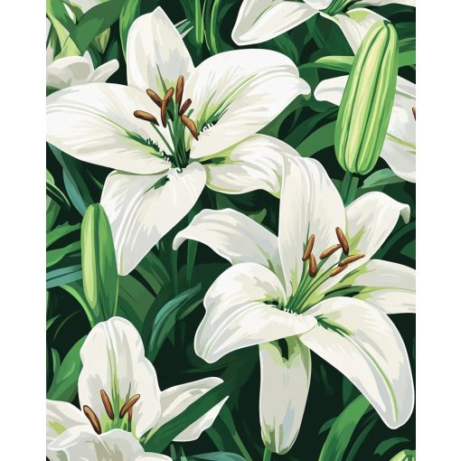 Időtlen elegancia - Számfestő készlet kereten 40x50