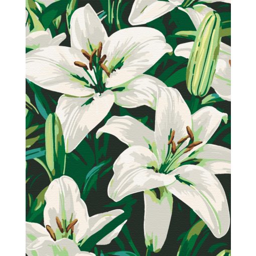 Időtlen elegancia - Számfestő készlet kereten 40x50