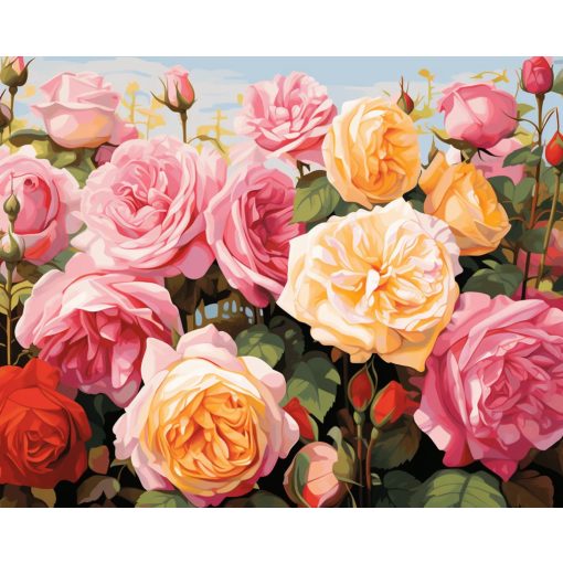 Örök rózsák - Számfestő készlet kereten 40x50
