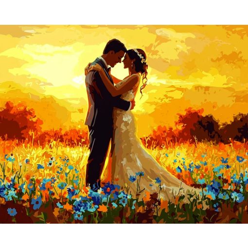 Mezőharmónia - Számfestő készlet kereten 40x50