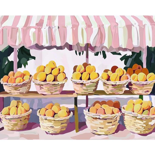 Barackba borulva - Számfestő készlet kereten 40x50