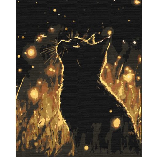 Die Nacht der Katze - Malen-nach-Zahlen-Set auf Keilrahmen 40x50