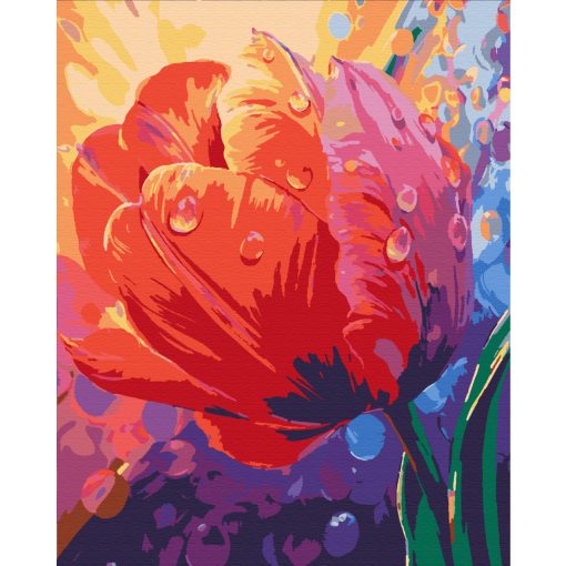 Tropfen auf den Blütenblättern - Malen-nach-Zahlen-Set auf Keilrahmen 40x50