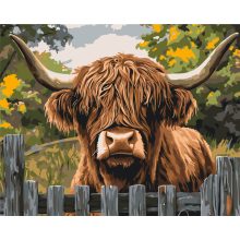 Schottische Kuh - Malen-nach-Zahlen-Set auf Keilrahmen 40x50