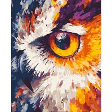 Der Blick der Eule - Malen nach Zahlen Set auf Rahmen 40x50 cm