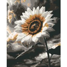 Blume der Hoffnung - Malen nach Zahlen Set auf Rahmen 40x50 cm