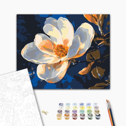 Reine Eleganz - Malen nach Zahlen Set auf Rahmen 40x50 cm