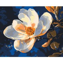 Reine Eleganz - Malen nach Zahlen Set auf Rahmen 40x50 cm