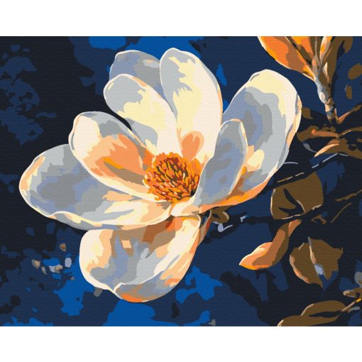 Reine Eleganz - Malen nach Zahlen Set auf Rahmen 40x50 cm