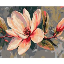 Magnolientanz - Malen nach Zahlen Set auf Rahmen 40x50 cm