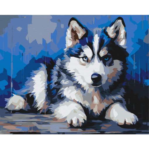 Treuer kleiner Husky – Malen nach Zahlen Set auf Rahmen 40x50 cm