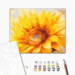   Tanz der Goldblüten – Malen nach Zahlen Set auf Rahmen 40x50 cm