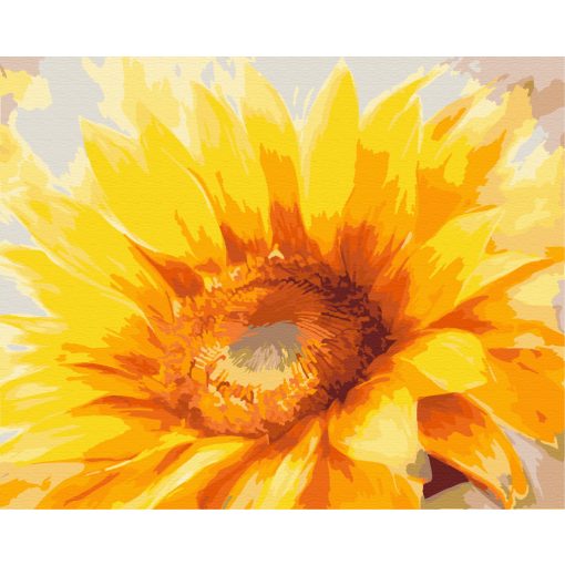 Tanz der Goldblüten – Malen nach Zahlen Set auf Rahmen 40x50 cm