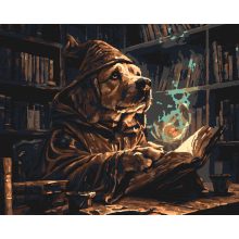 Zauberpfote – Malen nach Zahlen Set auf Rahmen 40x50 cm