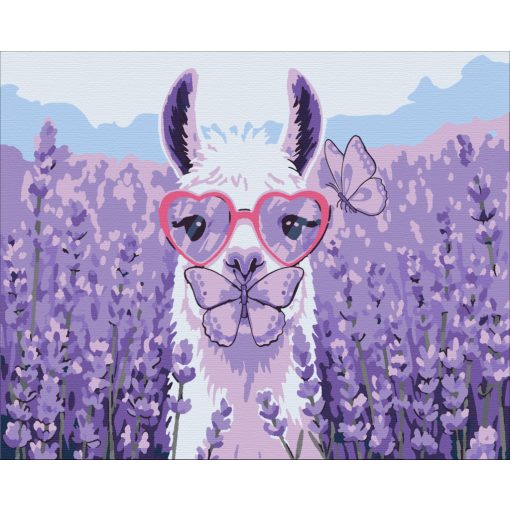 LavendLama – Malen nach Zahlen Set auf Rahmen 40x50 cm