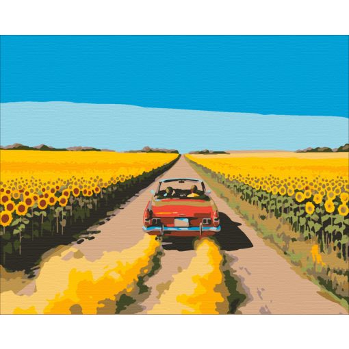 Auf dem Weg in den Sommer – Malen nach Zahlen Set auf Rahmen 40x50 cm