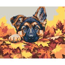 Versteckspiel zwischen den Blättern – Malen nach Zahlen Set auf Rahmen 40x50 cm