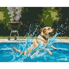 Sommerliches Hundabenteuer – Malen nach Zahlen Set auf Rahmen 40x50 cm