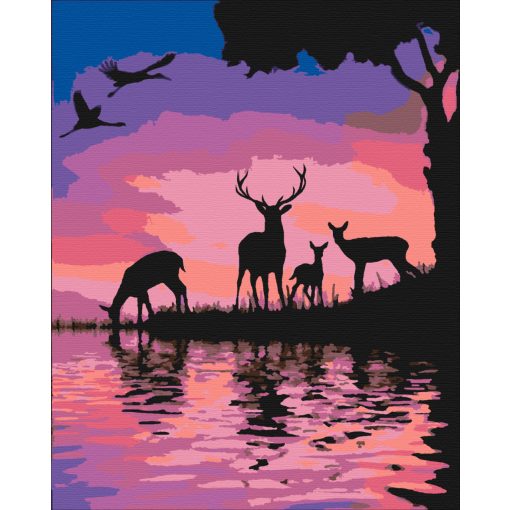 Frostiger Blick – Malen nach Zahlen Set auf Rahmen 40x50 cm