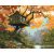   Baumhaus im Herbst – Malen nach Zahlen Set auf Rahmen 40x50 cm
