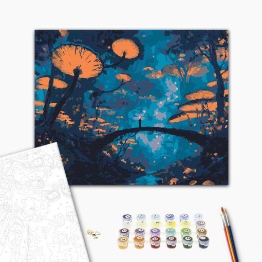 Andere Welt – Malen nach Zahlen Set auf Rahmen 40x50 cm