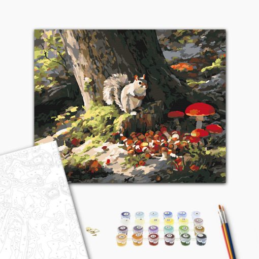 Eichhörnchenspaß – Malen nach Zahlen Set auf Rahmen 40x50 cm