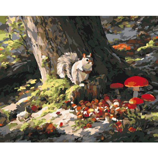 Eichhörnchenspaß – Malen nach Zahlen Set auf Rahmen 40x50 cm