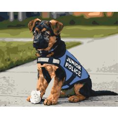 Ordnungspfote – Malen nach Zahlen Set auf Rahmen 40x50 cm