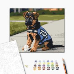 Ordnungspfote – Malen nach Zahlen Set auf Rahmen 40x50 cm