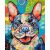 Pop Art Hund - Malen-nach-Zahlen-Set auf Keilrahmen 40x50