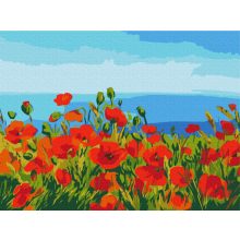 Pipacsmező - Számfestő készlet kereten 40X50