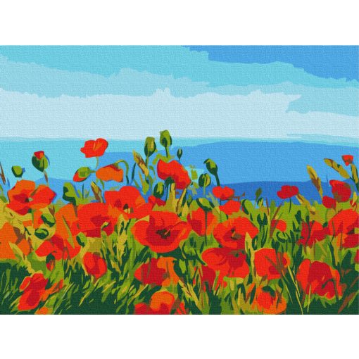 Pipacsmező - Számfestő készlet kereten 40X50