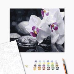 Zen Blumen - Malen-nach-Zahlen-Set auf Keilrahmen 40x50