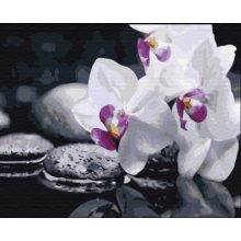 Zen Blumen - Malen-nach-Zahlen-Set auf Keilrahmen 40x50