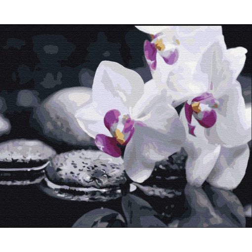 Zen Blumen - Malen-nach-Zahlen-Set auf Keilrahmen 40x50