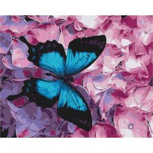 Schmetterling auf der Blume - Malen-nach-Zahlen-Set auf Keilrahmen 40x50