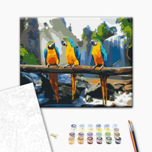 Papageien-Trio - Malen-nach-Zahlen-Set auf Keilrahmen 40x50