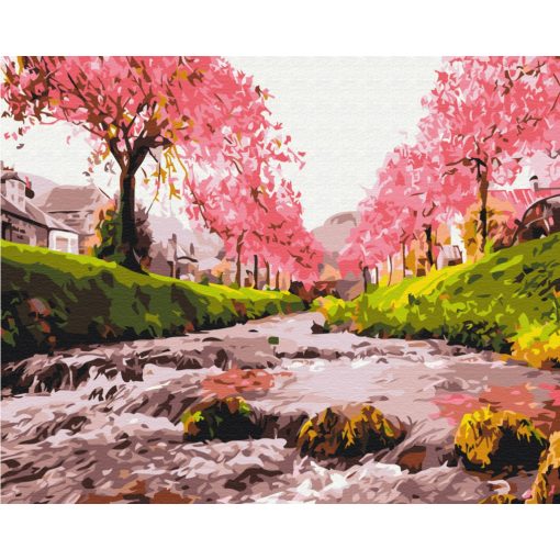 Virágzó partok - Számfestő készlet kereten 40x50