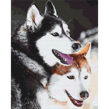 Husky-Liebe - Malen-nach-Zahlen-Set auf Keilrahmen 40x50