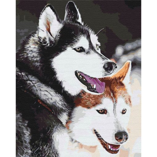 Husky-Liebe - Malen-nach-Zahlen-Set auf Keilrahmen 40x50